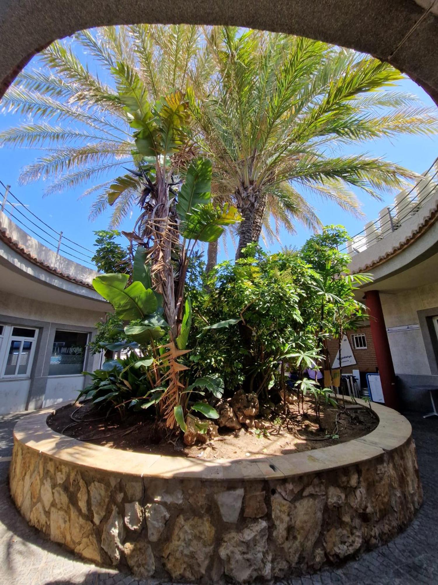 פובלה דה פארנאלס Apartamento Barbacoa, Piscina Y Playa מראה חיצוני תמונה