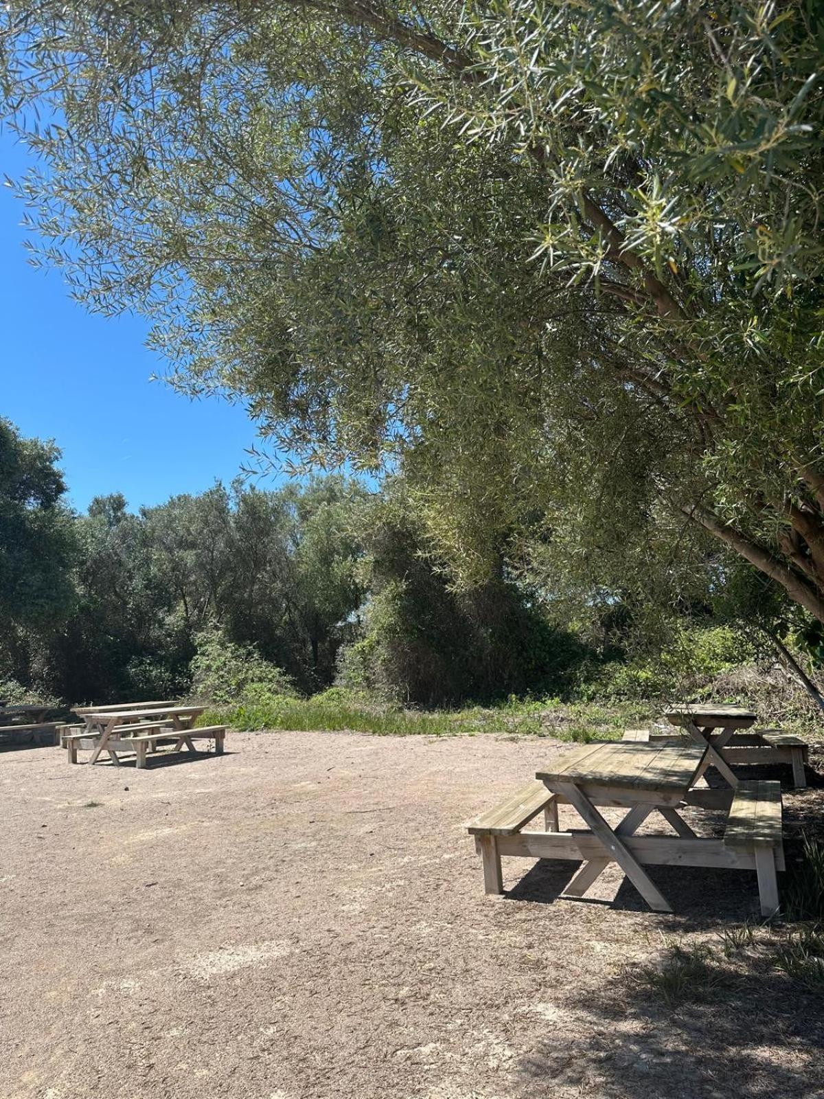 פובלה דה פארנאלס Apartamento Barbacoa, Piscina Y Playa מראה חיצוני תמונה